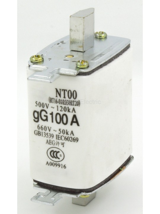 NT00 100A Blade Fuse