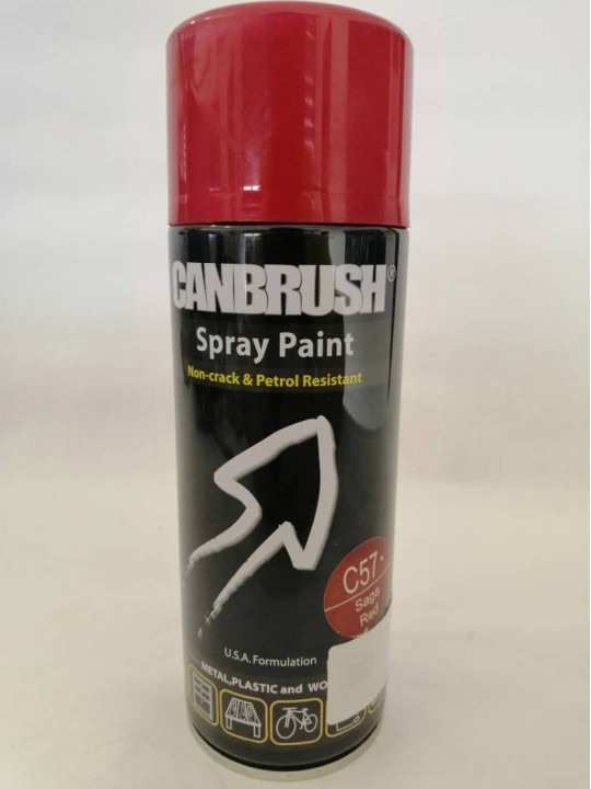 CANBRUSH Spray Paint (Premium)